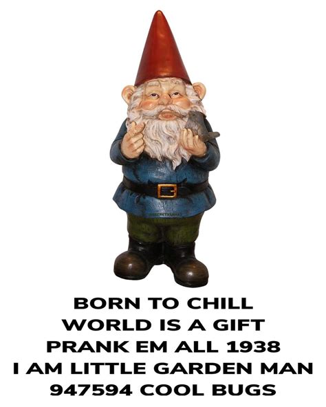 gnome pilled|gnomepill meme.